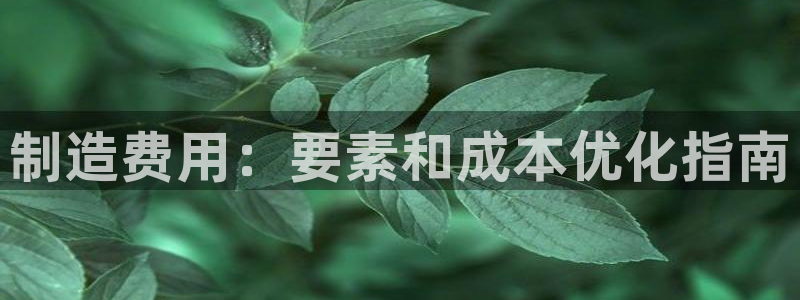 彩神是什么平台的游戏：制造费用：要素和成本优化指南