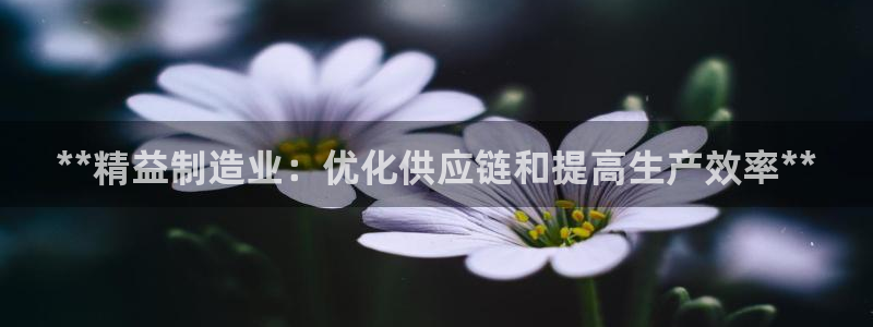 v大发彩神8iii：**精益制造业：优化供应链和提高生产效率**