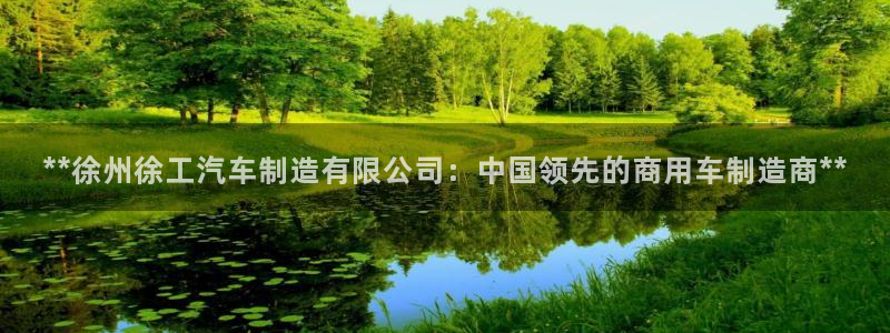 彩神ii官方网：**徐州徐工汽车制造有限公司：中国领先的商用车制造商**