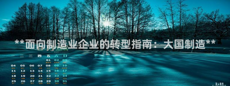 彩神v8平台正规吗知乎：**面向制造业企业的转型指南：大国制造**