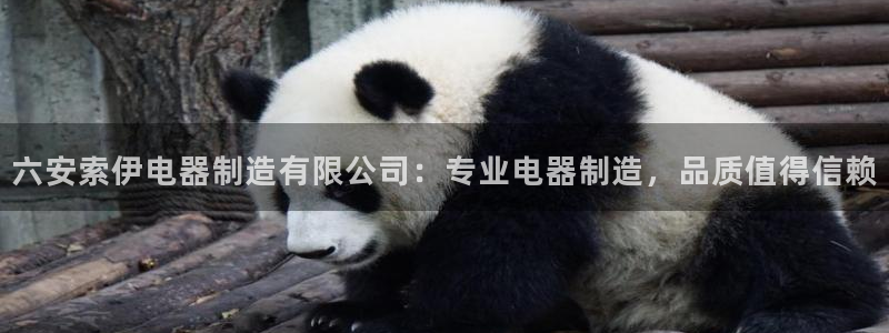 彩神vi争霸官网：六安索伊电器制造有限公司：专业电器制造，品质值得信赖