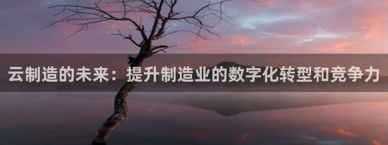 彩神vi官网版：云制造的未来：提升制造业的数字化转型和竞争力