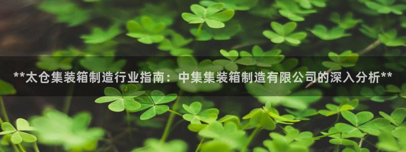 彩神VII购彩中心：**太仓集装箱制造行业指南：中集集装箱制造有限公司的深入分析**