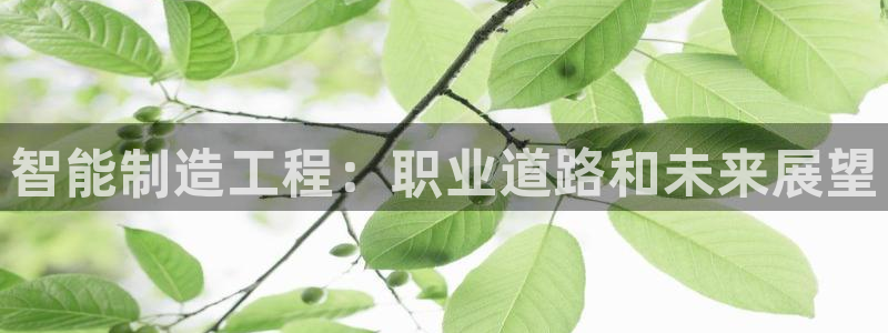 彩神旗下有哪些平台：智能制造工程：职业道路和未来展望