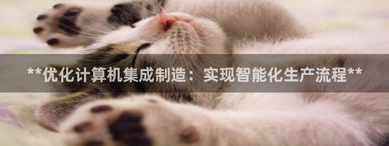 彩神vll购彩大厅大众：**优化计算机集成制造：实现智能化生产流程**
