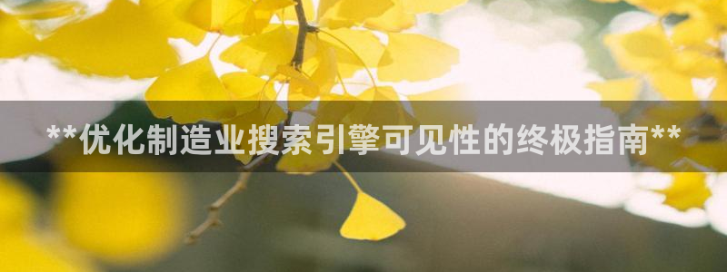 彩神vip购彩：**优化制造业搜索引擎可见性的终极指南**