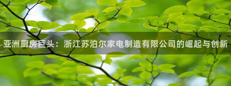 彩神的邀请码是多少：亚洲厨房巨头：浙江苏泊尔家电制造有限公司的崛起与创新