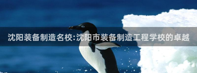 彩神v8是真的挣钱吗知乎：沈阳装备制造名校:沈阳市装备制造工程学校的卓越