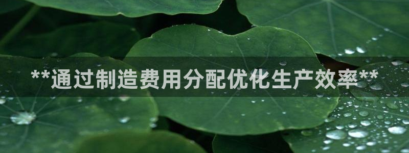 彩神是正规平台吗