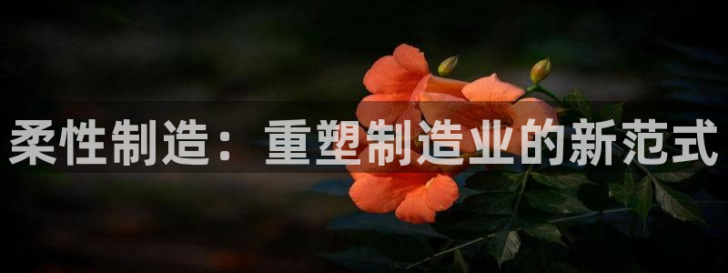 彩神怎么样可以提现：柔性制造：重塑制造业的新范式