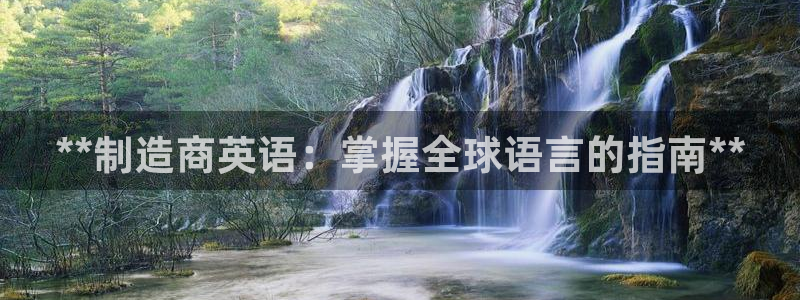 彩神赢的钱是哪里来的啊：**制造商英语：掌握全球语言的指南**