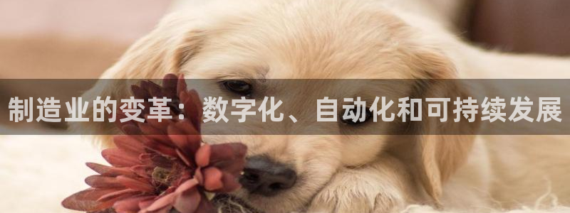 彩神ⅴll是什么样平台：制造业的变革：数字化、自动化和可持续