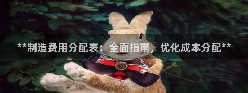 彩神V官网：**制造费用分配表：全面指南，优化成本分配**