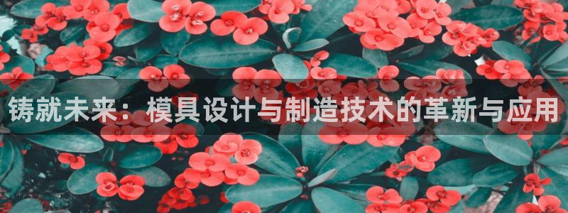彩神8官网合法吗：铸就未来：模具设计与制造技术的革新与应用