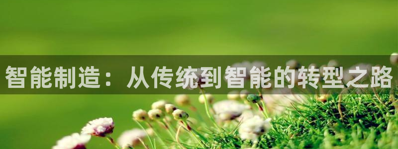 彩神ll能赚钱吗：智能制造：从传统到智能的转型之路