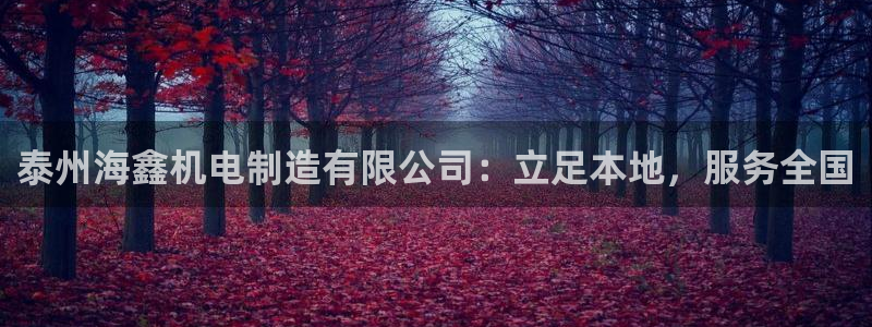 彩神VI首页：泰州海鑫机电制造有限公司：立足本地，服务全国