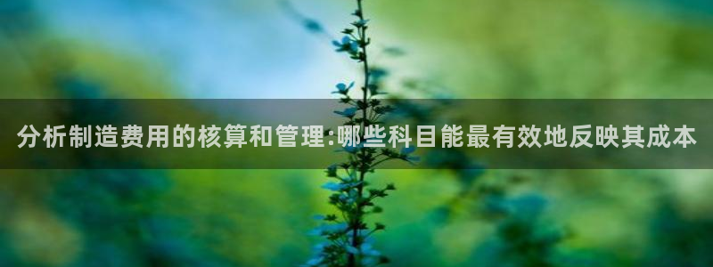 彩神平台是什么套路：分析制造费用的核算和管理:哪些科目能最有效地反映其成本