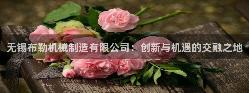 彩神正规吗：无锡布勒机械制造有限公司：创新与机遇的交融之地