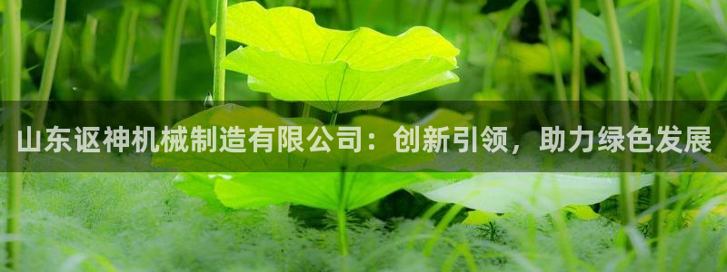彩神是怎样一个平台：山东讴神机械制造有限公司：创新引领，助力绿色发展