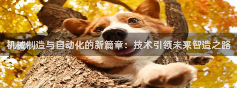 彩神系列平台：机械制造与自动化的新篇章：技术引领未来智造之路