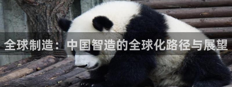 彩神8彩平台客服：全球制造：中国智造的全球化路径与展望