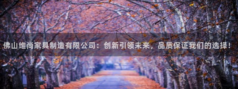 彩神VI首页：佛山维尚家具制造有限公司：创新引领未来，品质保证我们的选择！