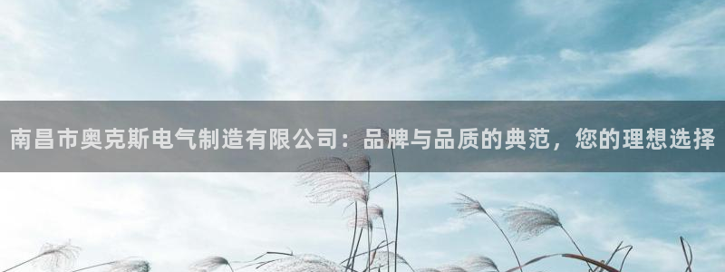 彩神vip购彩大厅下载：南昌市奥克斯电气制造有限公司：品牌与品质的典范，您的理想选择