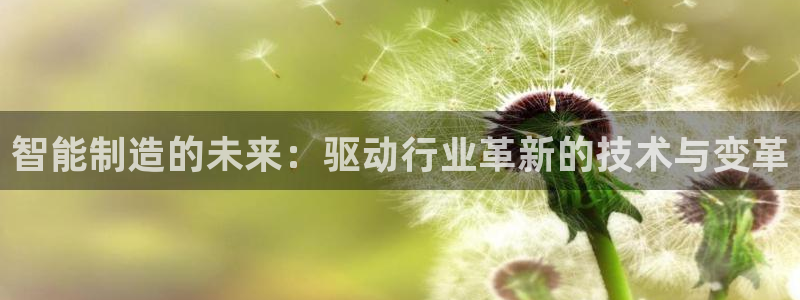 彩神8下载安卓版-彩神8(可提现)官网版1.0.0：智能制造的未来：驱动行业革新的技术与变革