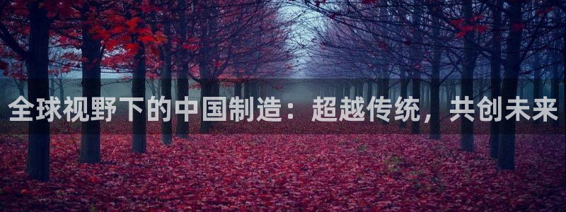 彩神官方网站登录是多少：全球视野下的中国制造：超越传统，共创未来