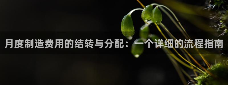 彩神网可以赚钱是真的吗：月度制造费用的结转与分配：一个详细的流程指南