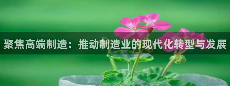 彩神v8iii：聚焦高端制造：推动制造业的现代化转型与发展