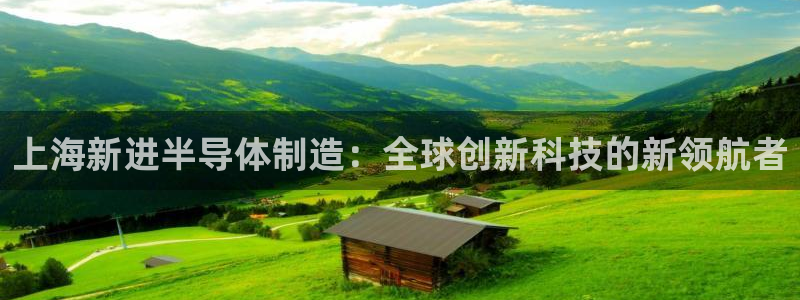 彩神V集团有限公司：上海新进半导体制造：全球创新科技的新领航者