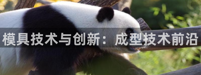 彩神vll购彩大厅大众：模具技术与创新：成型技术前沿