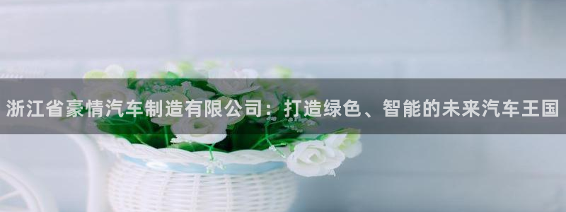 彩神vip购彩大厅在哪：浙江省豪情汽车制造有限公司：打造绿色、智能的未来汽车王国