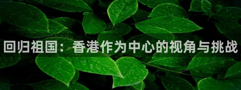 彩神是怎样一个平台：回归祖国：香港作为中心的视角与挑战