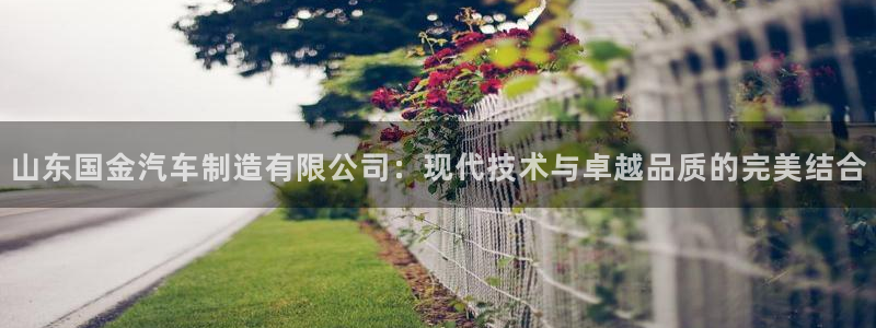 彩神8官网合法吗：山东国金汽车制造有限公司：现代技术与卓越品质的完美结合