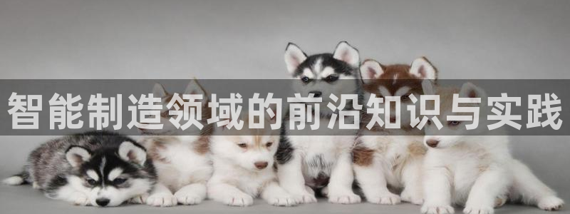彩神v8是一个什么平台啊：智能制造领域的前沿知识与实践