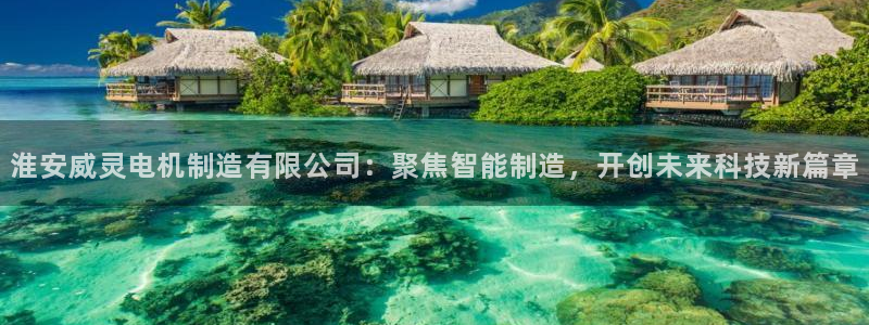 彩神app能挣到钱吗：淮安威灵电机制造有限公司：聚焦智能制造，开创未来科技新篇章