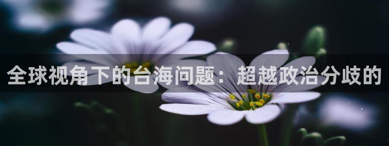 彩神旗下有哪些平台：全球视角下的台海问题：超越政治分歧的