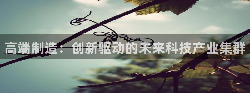 所有彩神购买首页：高端制造：创新驱动的未来科技产业集群