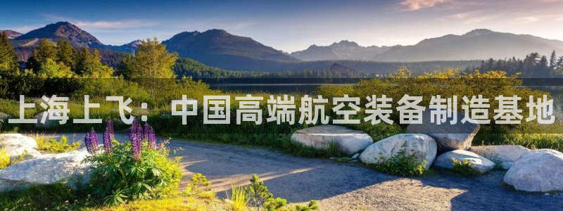 彩神团队是真的吗：上海上飞：中国高端航空装备制造基地