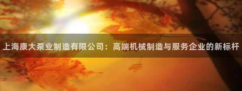 彩神vllⅰ购彩大厅：上海康大泵业制造有限公司：高端机械制造与服务企业的新标杆