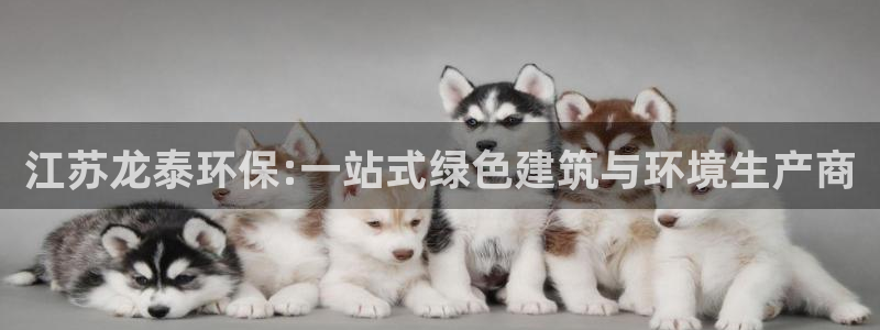 彩神iv是正规平台吗?：江苏龙泰环保:一站式绿色建筑与环境生产商
