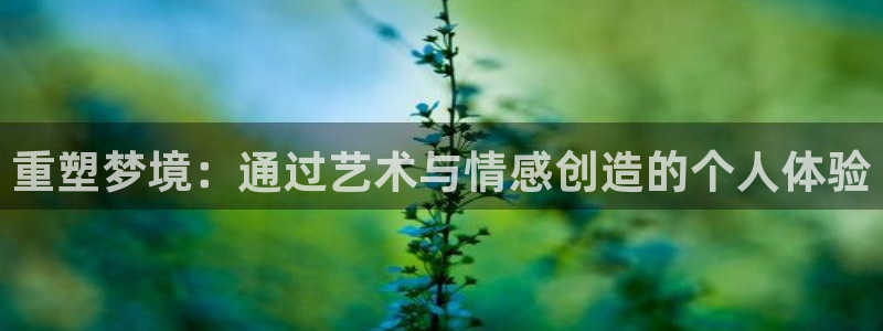 彩神平台注册登录：重塑梦境：通过艺术与情感创造的个人体验