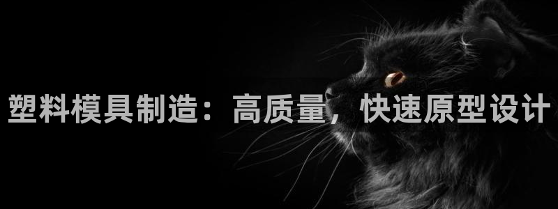 彩神大发是不是人为操作：塑料模具制造：高质量，快速原型设计