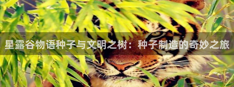 彩神vll首页环球