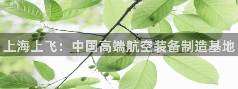 彩神v8下载网址