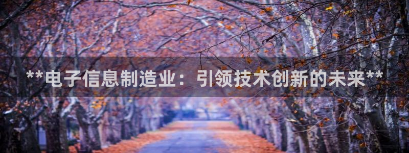 彩神是怎样一个平台：**电子信息制造业：引领技术创新的未来**