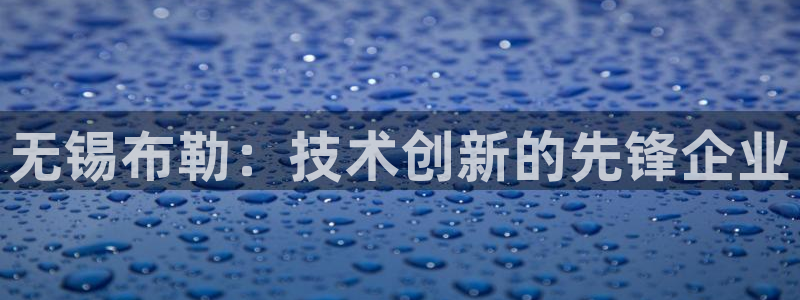 彩神ix官网是哪个公司的：无锡布勒：技术创新的先锋企业