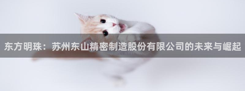 彩神v：东方明珠：苏州东山精密制造股份有限公司的未来与崛起